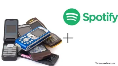 Dumb phone with Spotify